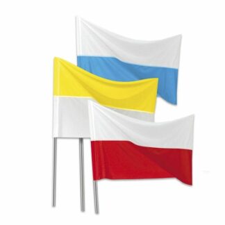 Flaga biało-niebieska