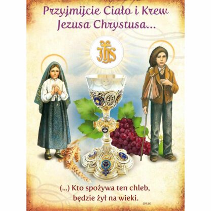 baner dekoracyjny na Boże Ciało z napisem przyjmijcie ciało i krew Jezusa Chrystusa z kielichem i darami Ducha Świętego