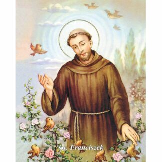 Pocztówki Św. Franciszka – op. 100szt.